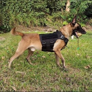 Tactical Dog Harness